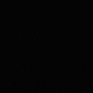 Meet your Posher, Luis